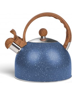 Awvlvwa Tea Kettle for Stovetop 2.5 Quart Stainless Water Teapot Boilers for Stovetops Induction Stone Kettle with Loud Whistle Perfect for Preparing Hot Water Fast for Coffee Tea Sky Blue - B906J1P7E