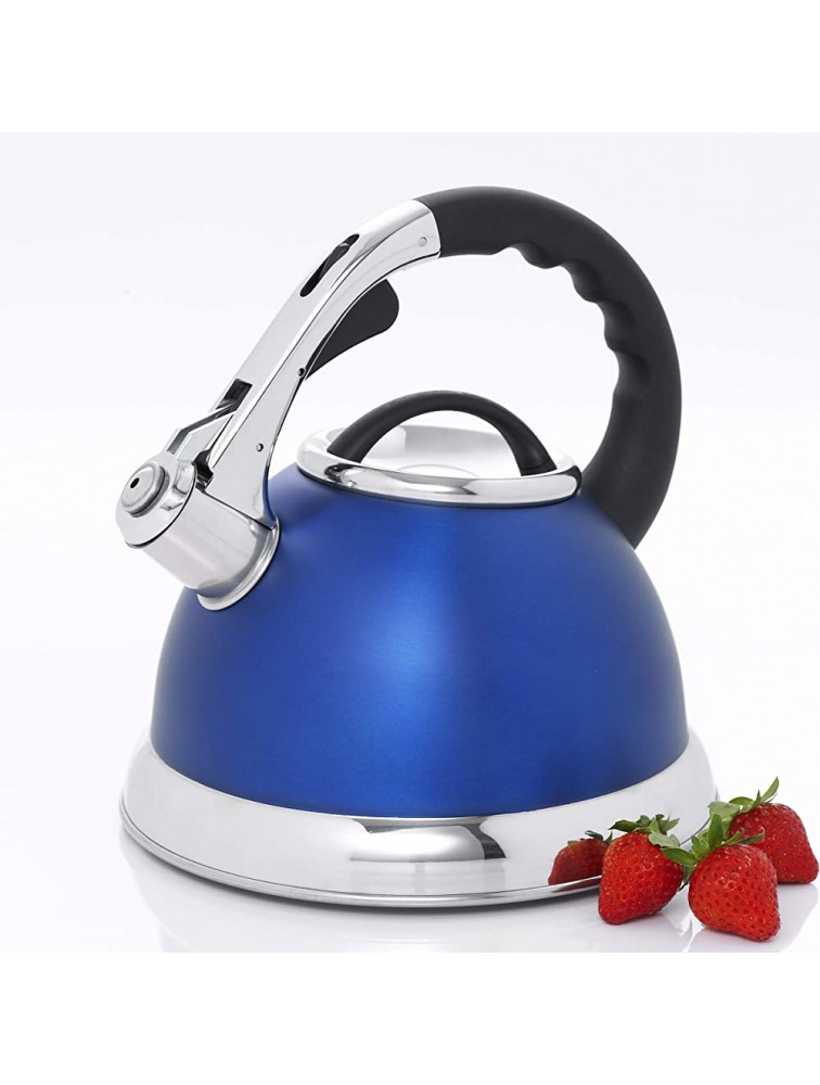 Creative Home Camille 3.0 Qt Stainless Steel Opaque Blue Whistling Tea Kettle - BG9CUEV4C