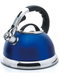 Creative Home Camille 3.0 Qt Stainless Steel Opaque Blue Whistling Tea Kettle - BG9CUEV4C