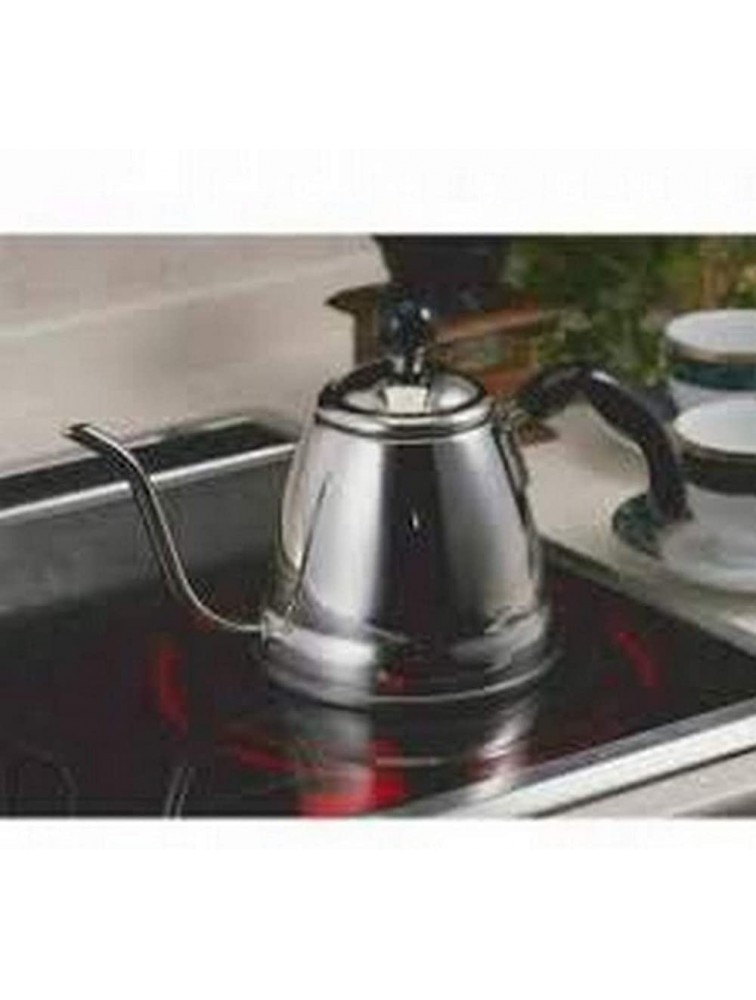 Takei Brand Japanese Fino Gooseneck Spout Pour Over Coffee and Tea Kettle Precision Flow Drip Pot Stainless Steel IH Induction Heating Stove Made in Japan 1 Liter 4-1 4 Cup 4-1 4 Cup - BUK4KNFF5
