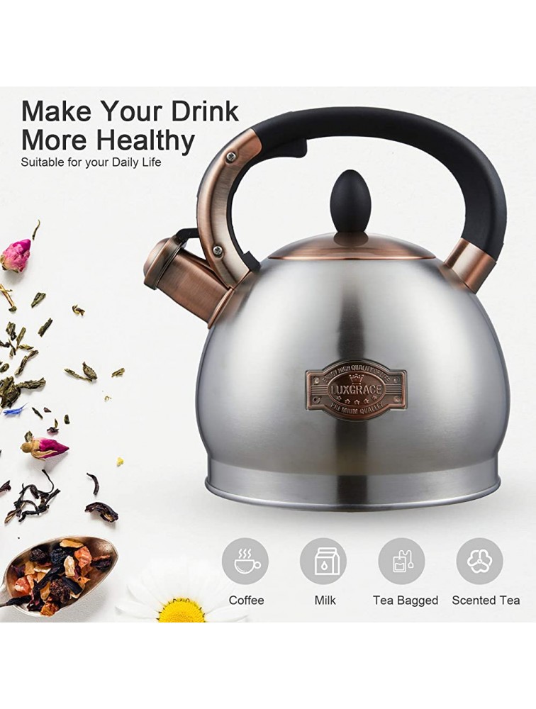 Tea Kettle -2.8 Quart Tea Kettles Stovetop Whistling Teapot Stainless Steel Tea Pots for Stove Top Whistle Tea Pot - BD26PGVNU