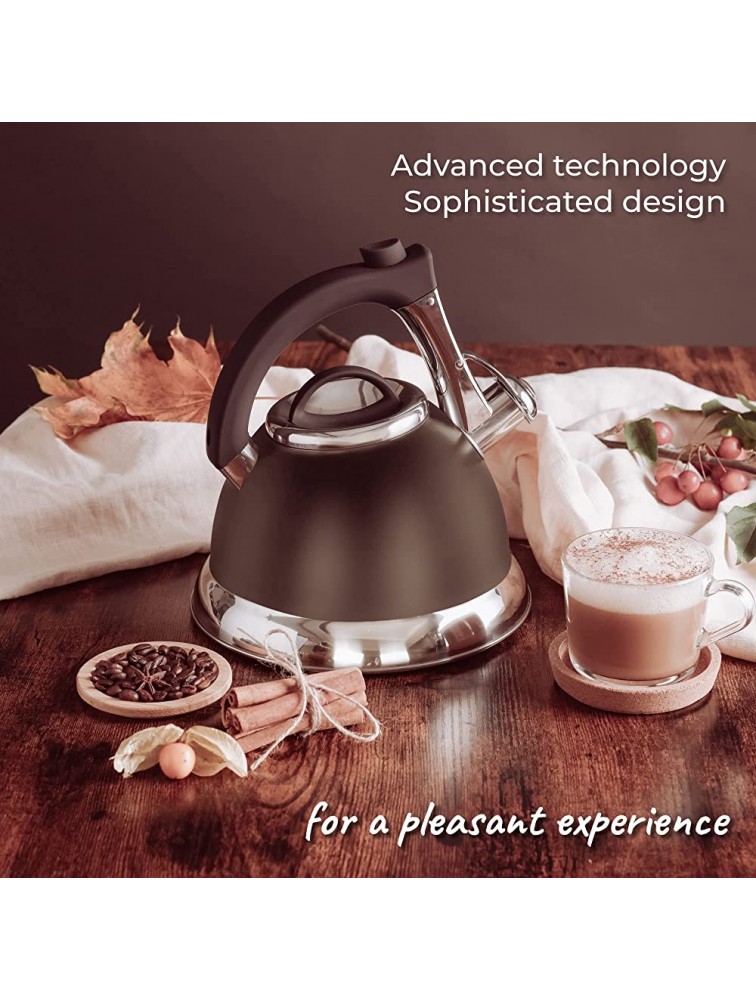 Whistling Tea Kettle with iCool Handle Surgical Stainless Steel Teapot for ALL Stovetops 2 FREE Infusers Included 3 Quart by Pykal - BMEDRDQPZ