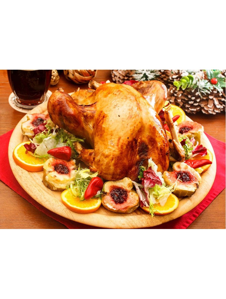 HONSHEN Turkey Lacers for Trussing Turkey,6 inches Stainless Steel metal skewers,Set of 12 - BPNOVU3RP
