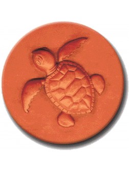 RYCRAFT 2" Round Cookie Stamp with Handle & Recipe Booklet-SEA TURTLE - BPB7X1ENW